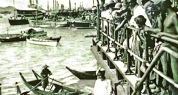 Global Migration Insights